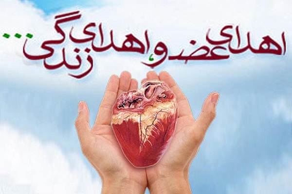اهدای 3 عضو جوان 32 ساله به بیماران اهدای 3 عضو جوان 32 ساله به بیماران