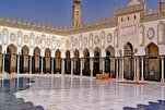 عالم أزهري: الصبر من صفات النبي الكريم