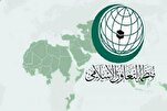 İslam Əməkdaşlıq Təşkilatı Kamal Ədvan xəstəxanasına edilən hücumu qınayıb