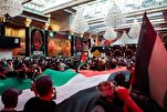 İraq dini mərcəiyyəti Qəzzəyə yardım kampaniyasını dəstəkləyib