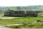 মসুলের বৃদ্ধাশ্রম ধ্বংস করল দায়েশ