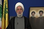 Hezbollah Disarmament Out of Question: Sheikh Qassem