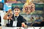 Over 3,000 Moukebs to Serve Pilgrims During Arbaeen: Iran