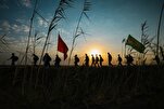 Scholar Links Arbaeen Rituals to Foundations of Islamic Civilization