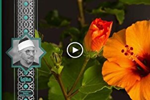 Sura Al-Imran de Shahat Muhammad Anwar