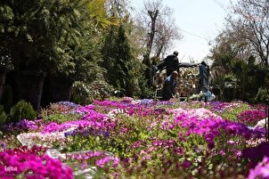 Mercado de Flores de Shiraz antes del Nowruz