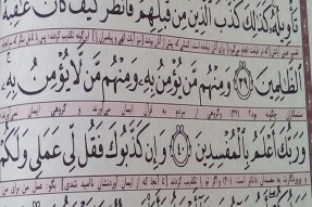 اختیار، مؤلفه مهم در باور آیات قرآن است