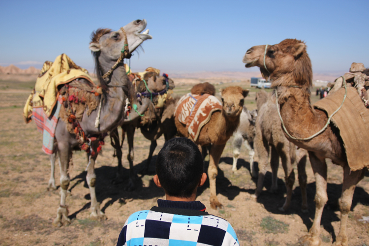 یادی از بازی‌های بومی در عصر زندگی‌های موبایلی