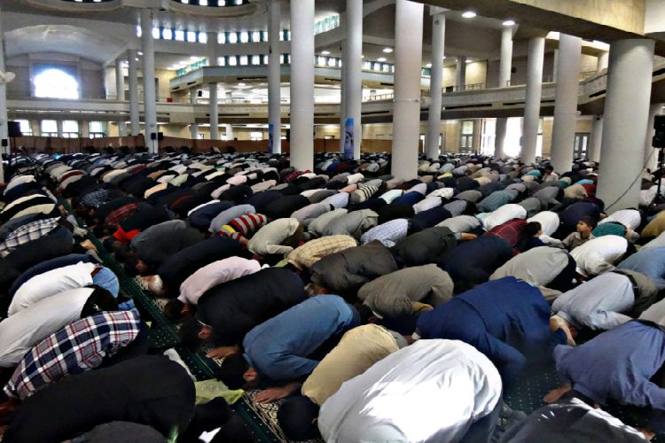 عید بندگی در پایتخت شور و شعور حسینی