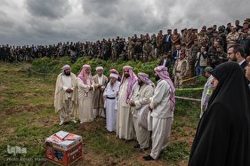 من برده نیستم