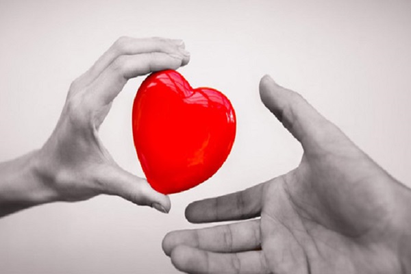 ارگان‌های حیاتی کودک خدابنده‌ای اهدا شد