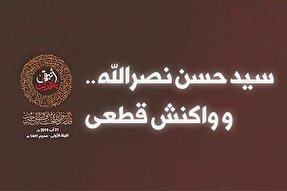 اینفوگرافیک/ سیدحسن نصرالله و واکنش قطعی