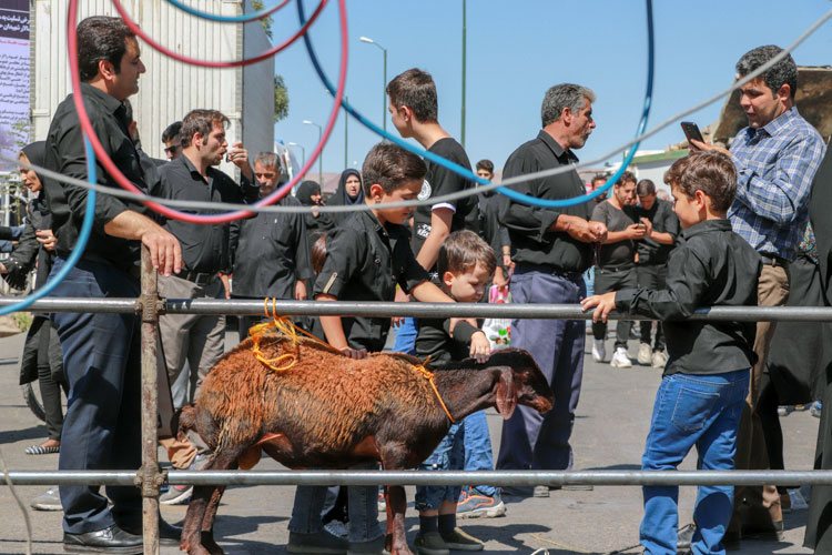 اجتماع عزاداران در پایتخت شور و شعور حسینی به روایت تصویر