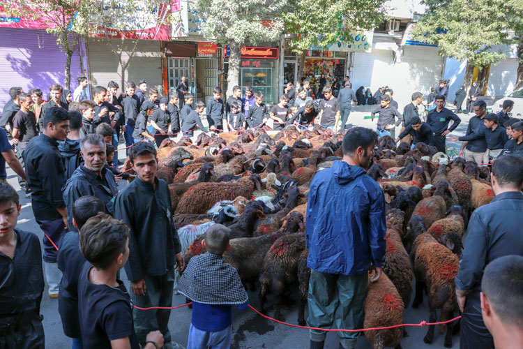 گزارش تصویری دسته زینبیه اعظم زنجان