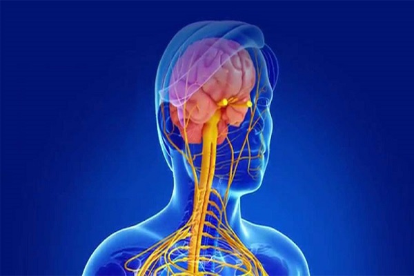 دفتر نمایندگی جمعیت ام.اس در ابهر راه‌اندازی می‌شود