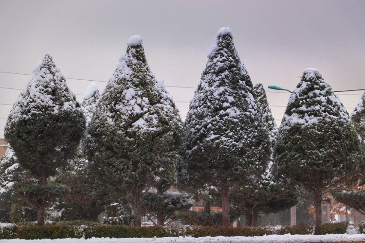 روزهای برفی در زنجان