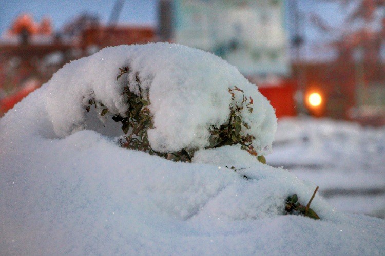 روزهای برفی در زنجان