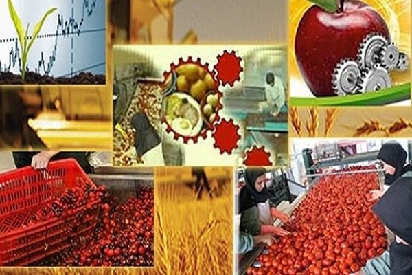 سرمایه&zwnj;گذاری 82 میلیارد تومانی برای اشتغال مددجویان زنجانی