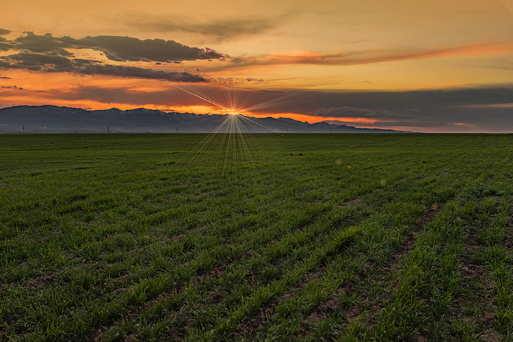 عکس | اینجا زنجان؛ ابر و باد و مه و خورشید و فلک در کاراند