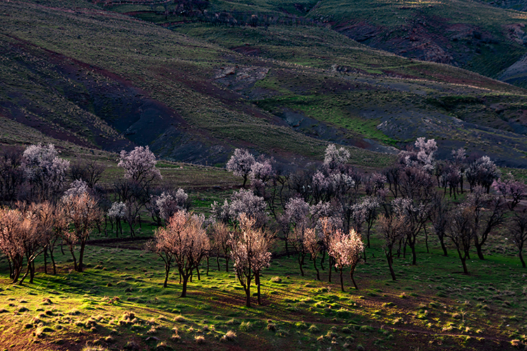عکس | اینجا زنجان؛ ابر و باد و مه و خورشید و فلک در کاراند