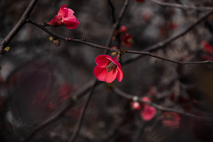 عکس | اینجا زنجان؛ ابر و باد و مه و خورشید و فلک در کاراند