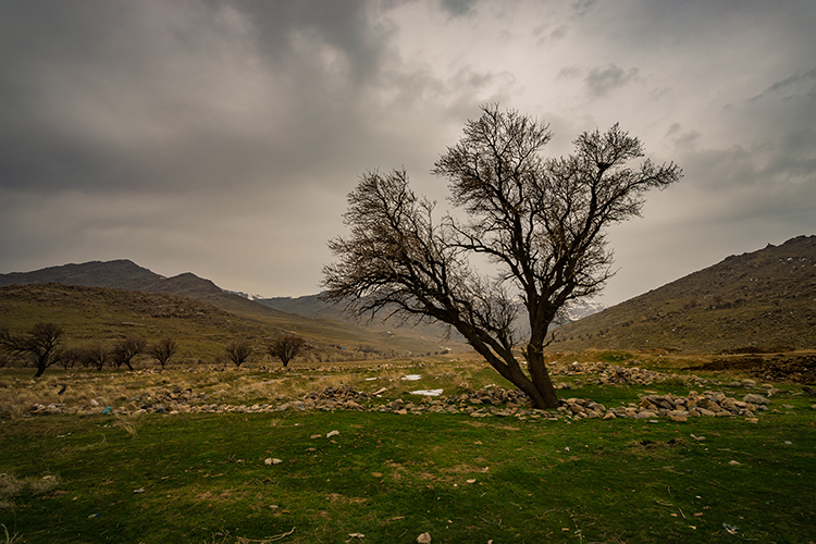 عکس | اینجا زنجان؛ ابر و باد و مه و خورشید و فلک در کاراند