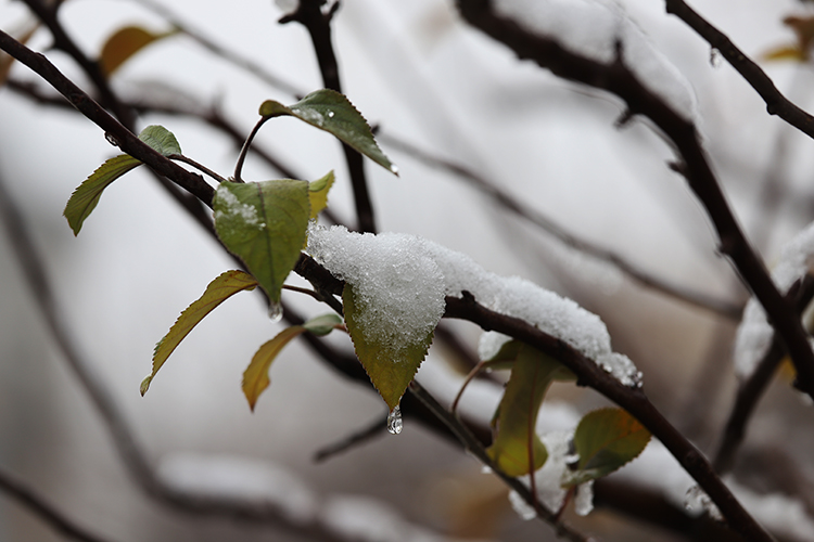 عکس | اینجا زنجان؛ ابر و باد و مه و خورشید و فلک در کاراند