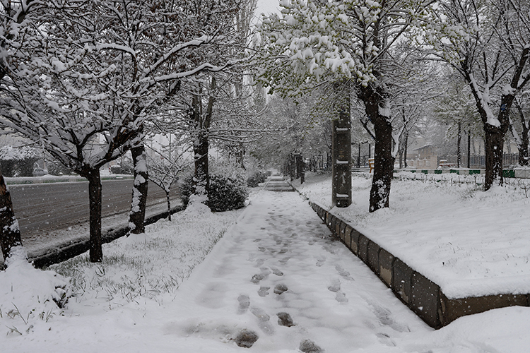 عکس | چهره زمستانی بهار در زنجان