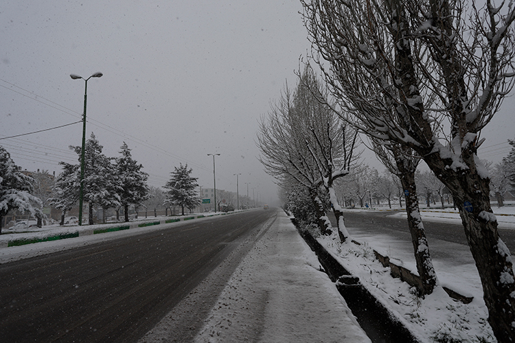 عکس | چهره زمستانی بهار در زنجان