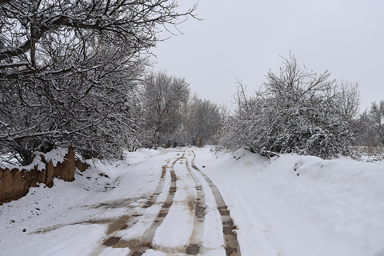 عکس | چهره زمستانی بهار در زنجان