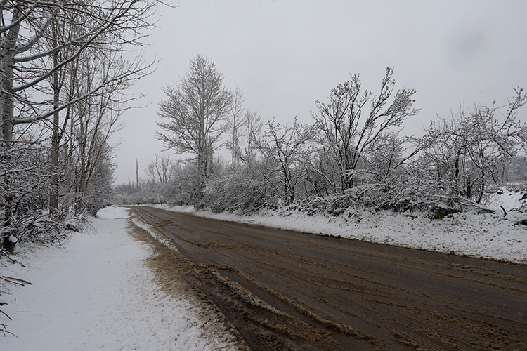 عکس | چهره زمستانی بهار در زنجان