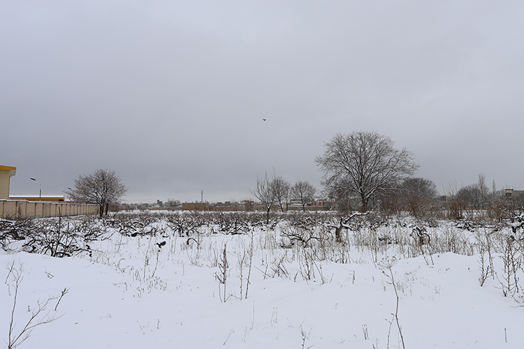 عکس | چهره زمستانی بهار در زنجان