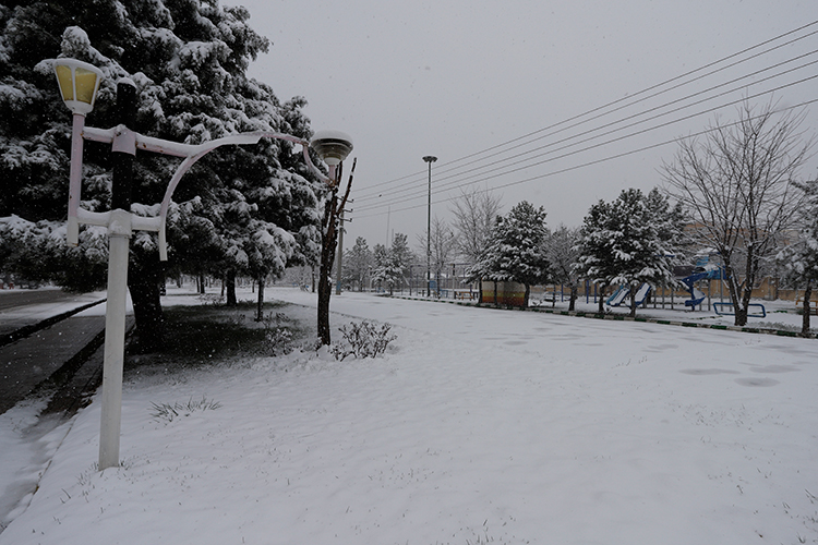 عکس | چهره زمستانی بهار در زنجان