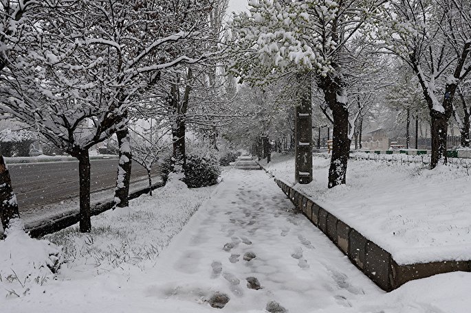 عکس | چهره زمستانی بهار در زنجان