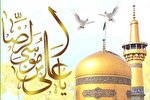 دلایل اختصاصی امامت امام رضا(ع)