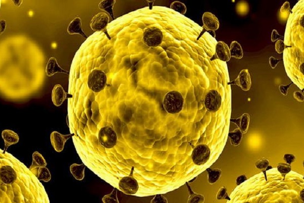 متوفیان کرونایی زنجان به 685 نفر رسید