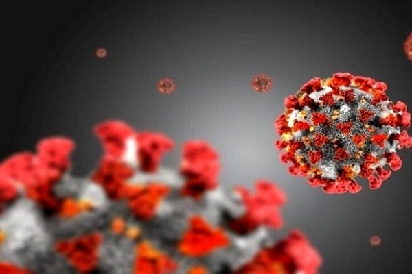 بستری 362 بیمار کرونایی در زنجان بستری 362 بیمار کرونایی در زنجان