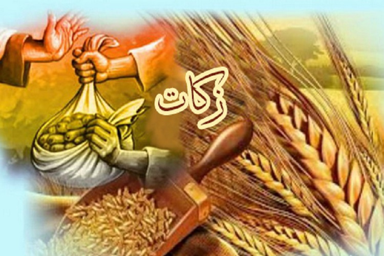 پرداخت بیش از یک میلیارد تومان زکات توسط کشاورزان سلطانیه پرداخت بیش از یک میلیارد تومان زکات توسط کشاورزان سلطانیه