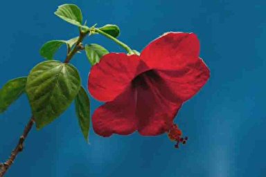 پادکست | خداوند در ماه شعبان دو چندان می‌بخشد