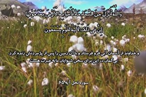 فیلم | تلاوت آیه 65 سوره نحل با صوت «شعشاعی»