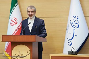 واکنش سخنگوی شورای نگهبان به اظهارات حجت‌الاسلام مصلحی