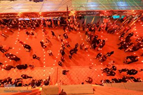 برپایی موکب عزاداری ۲۸ صفر در حسینیه اعظم زنجان