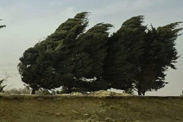 کاهش دما و وزش باد در زنجان کاهش دما و وزش باد در زنجان