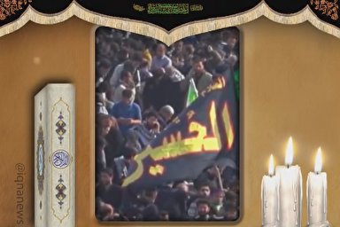 استوری موشن | زائر امام حسین (ع) در همسایگی پیامبر (ص)