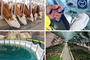 گام‌های مؤثر جهاددانشگاهی در تأمین امنیت غذایی