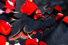 پروژه‌های حوزه راه‌وشهرسازی به نام شهدا مزین شود