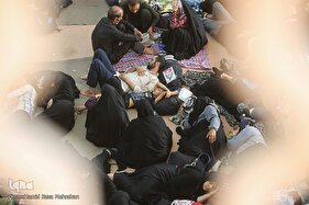 موکب امام رضا(ع) در طریق کربلا