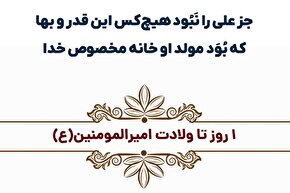 استوری موشن | قدر علی(ع)