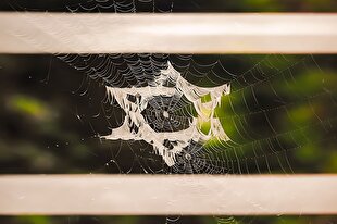 نفی ولایت غیر‌ خدا + فیلم