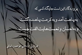 استوری موشن | پناهنده کرم توام